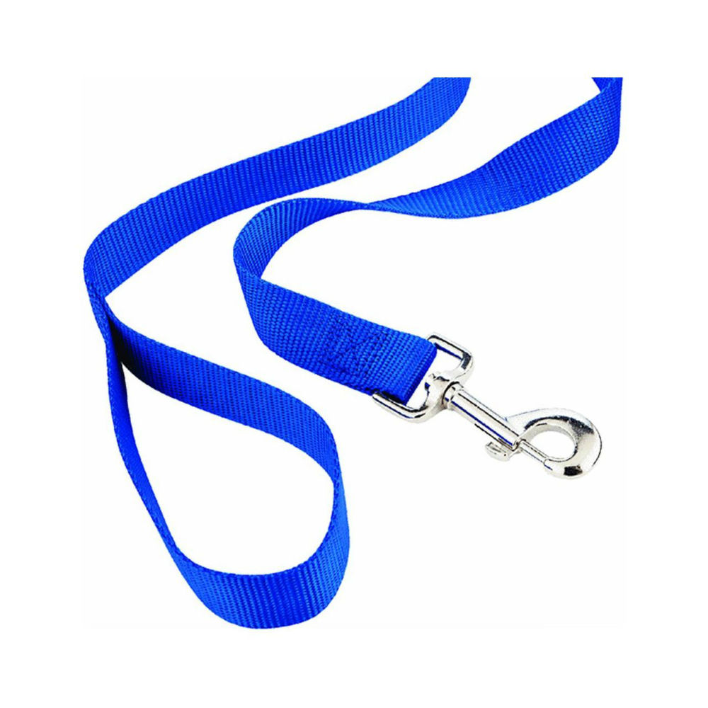 Ruffin' It™ 31486 Nylon Lead Dog Leash, Assorted Colors, Large, 1" x 6'