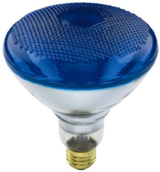 Westpointe 70892 Flood Beam 100BR38/B Reflector Light Bulb, 100W, 120V, Blue
