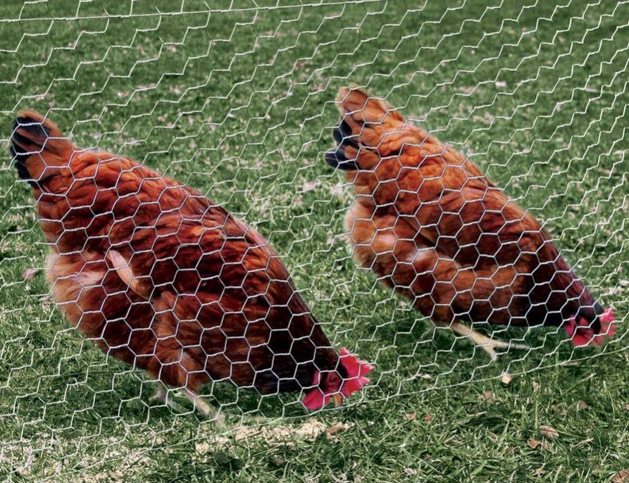 YardGard® 308427B Galvanized Poultry Netting, 20-Gauge, 1" Mesh, 36" x 150'