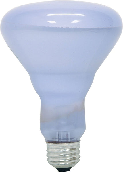 GE Lighting 87904 Reveal® Indoor Floodlight BR40 Bulb with Medium Base, 65W