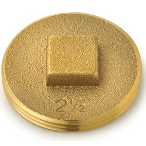Oatey® 42371 Brass Cleanout Plug With Raised Head, 2-1/2"