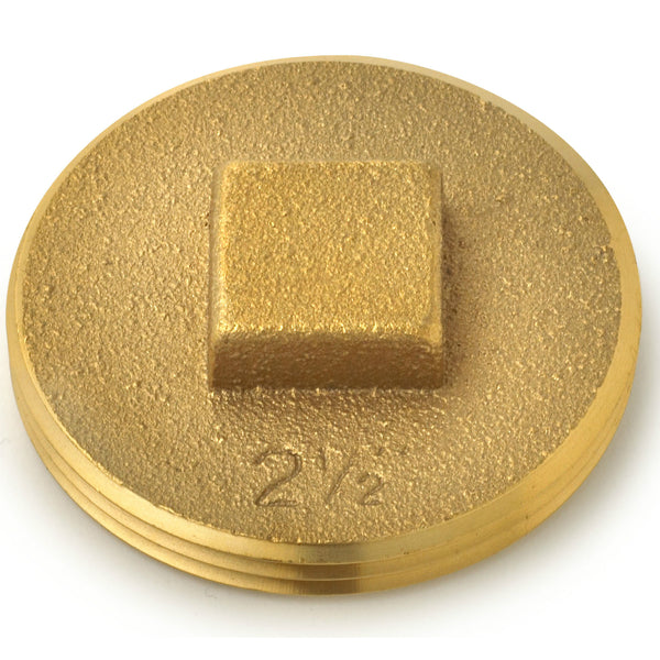 Oatey® 42371 Brass Cleanout Plug With Raised Head, 2-1/2"