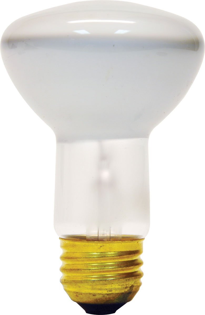 GE 18279 Medium Base Indoor R20 Floodlight Bulb, 45W, Soft White, 2-Pack