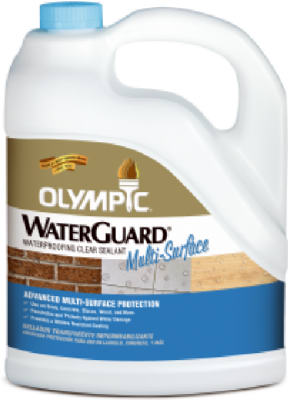Gallon Multi Surface Sealant