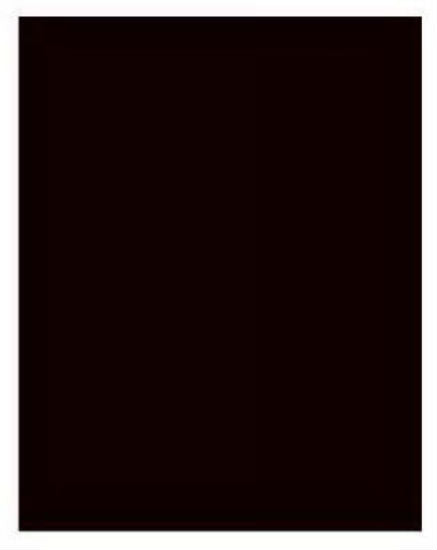 Royal Brites® 24309 Black Poster Board, 22" x 28"