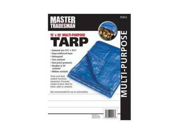 Master Tradesman MT-12-X-20-BLUE Polyethylene Storage Tarp Cover, 12' x 20', Blue