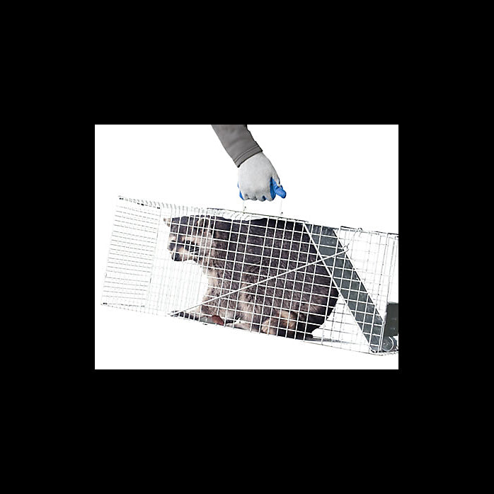Havahart 1079 Professional Live Animal Cage Trap, Large, 32" x 10" x 12"