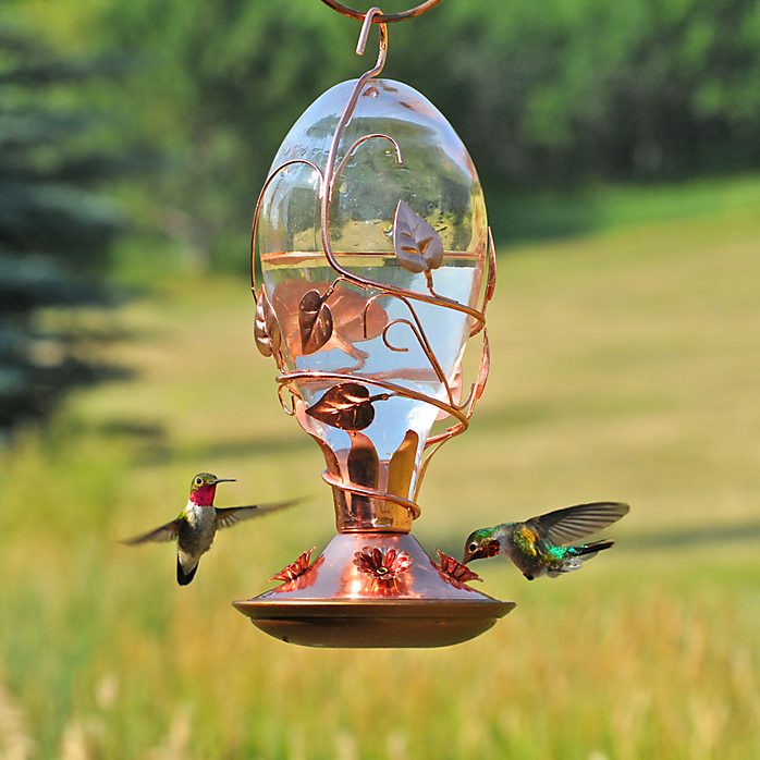 Perky-Pet 8110H-1 Hummingbird Feeder, 4 Ports/Perch, Glass/Metal