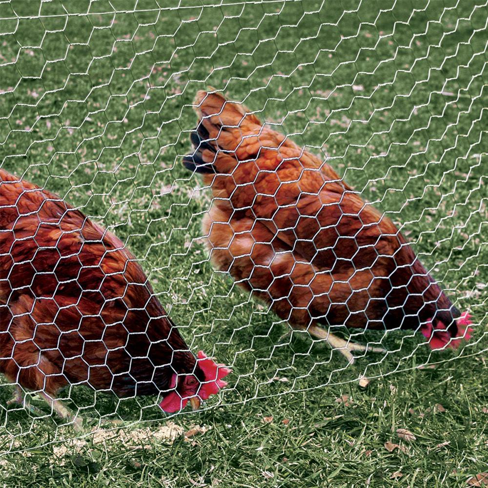 YardGard 308496B Galvanized Poultry Netting, 20-Gauge, 2" Mesh, 48" x 150'