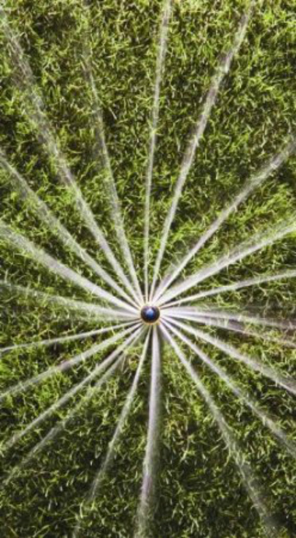 Rain Bird 22SA-F Rotor Sprinkler Full-Circle Spray Pattern, 360°, 17'-24'