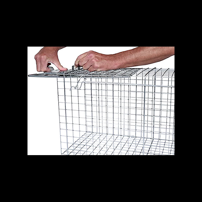 Havahart 1050 2-Door Live Raccoon/Opossum Animal Cage Trap, X-Large