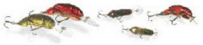 Rebel F7667 Rebel Wee Crawfish Lure, 2", 1/5 Oz, Chartreuse Brown