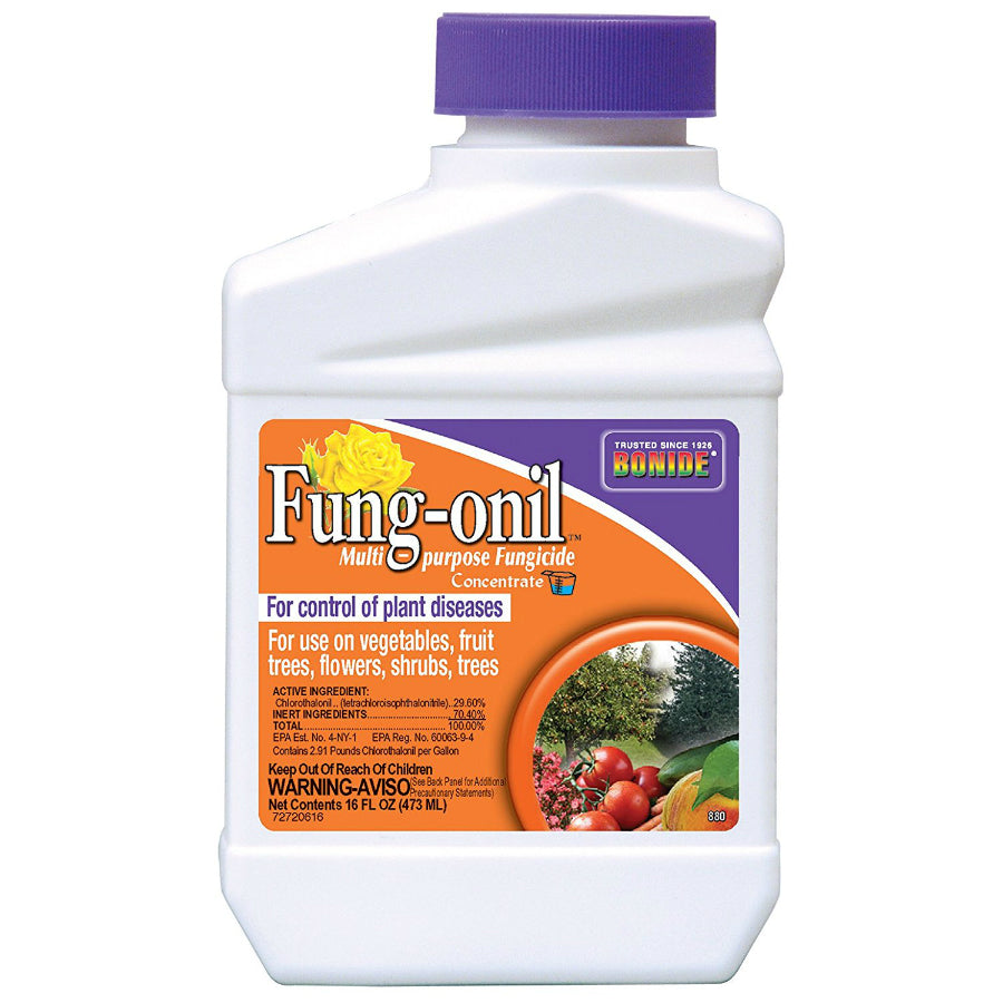 Bonide® 880 Concentrate Fung-onil™ Multi-Purpose Fungicide, 16 Oz