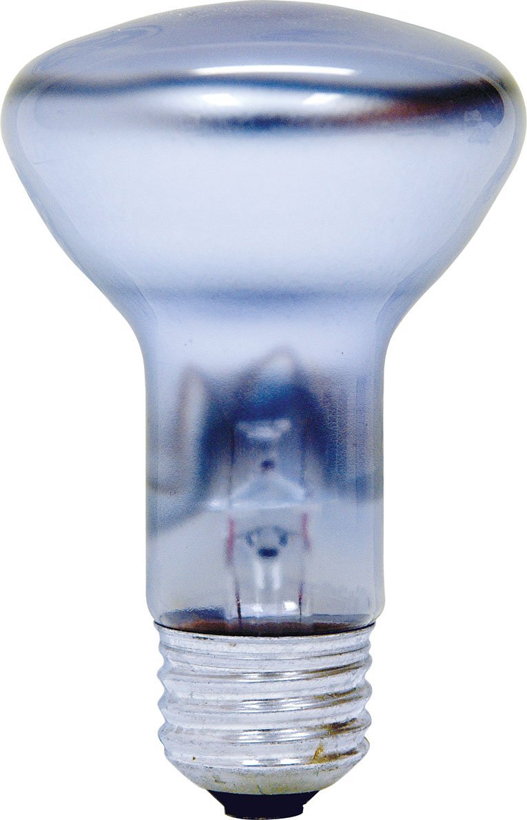 GE Lighting 73439 Reveal R20 Reflector Floodlight Bulb, 45W