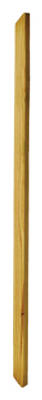 B2E Baluster 2 x 2-42"