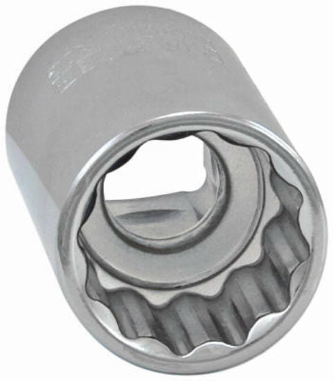Master Mechanic 36111 12-Point Metric Socket, 24 MM, 1/2" Drive