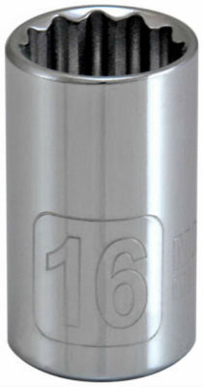 Master Mechanic 36103 12-Point Metric Socket, 16 MM, 1/2" Drive