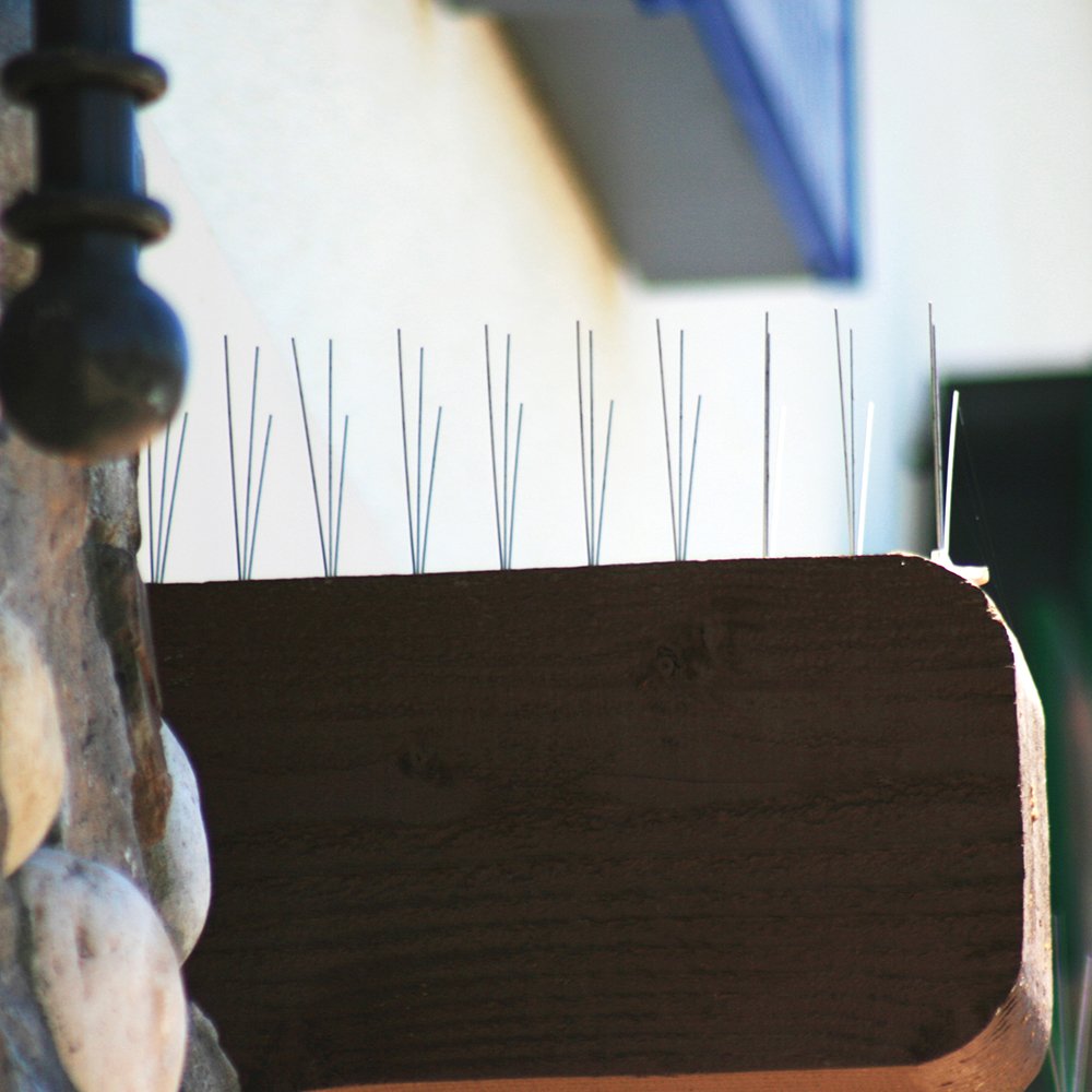 Bird B Gone® MM2001-5/20 Stainless Steel Bird Spikes, 5" x 20'