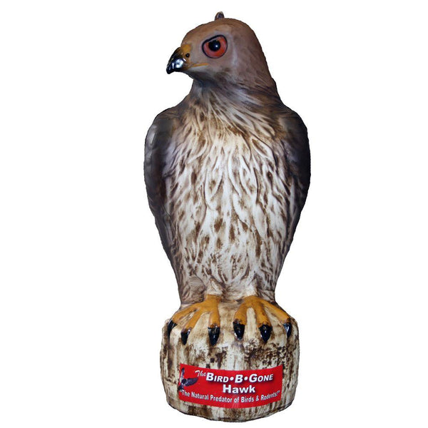 Bird-B-Gone® MMRTH1 Plastic Life Like Red Hawk Decoy Bird Repellent