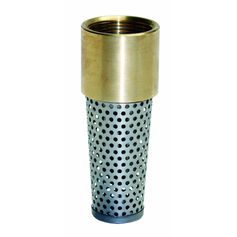 Water Source™ TFV-125NL Solid-Brass Foot Valve, No Lead, 1-1/4"