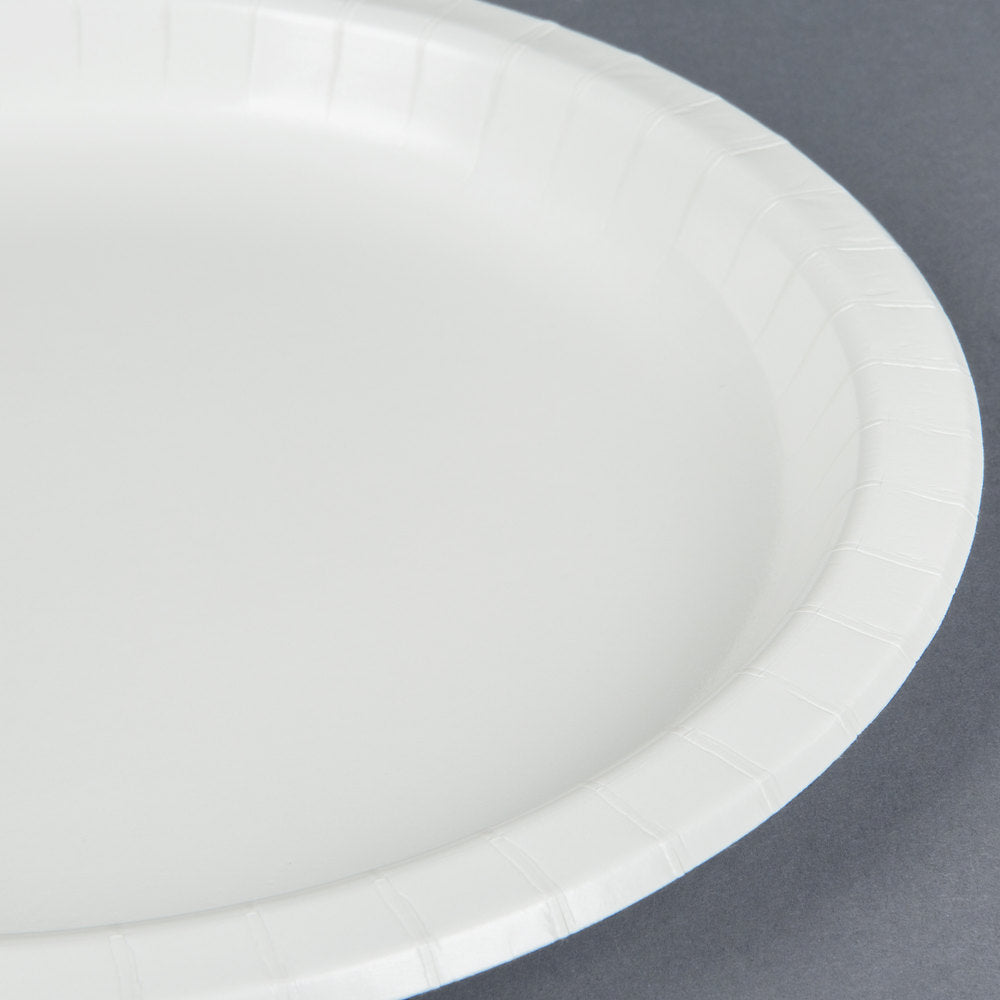 Creative Converting™ 50000B Touch Of Color Paper Plates, White, 10", 24-Count