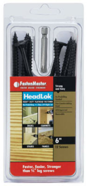 FastenMaster® FMHLGM006-12 HeadLok® Heavy Duty Flat Head Fastener, 6", 12-Pack
