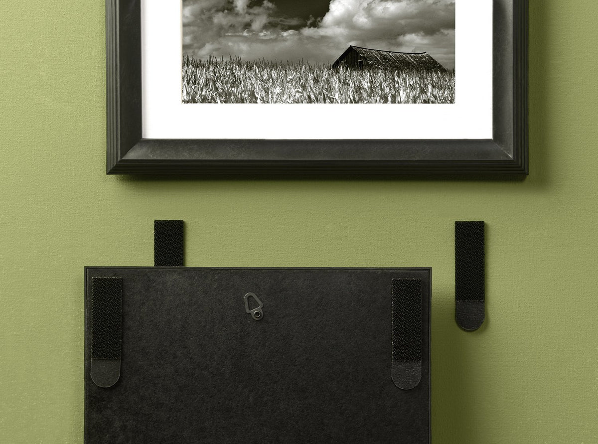 Command 17206BLK Damage-Free Picture Hanging Strips, Large, Black, 4-Set