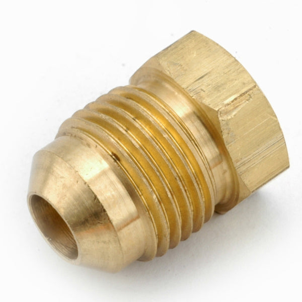 Anderson Metals 754039-10 Lead Free Flare Plug, Brass, 5/8"