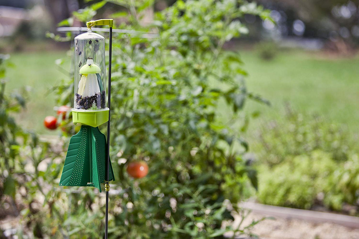 Rescue SBTR-SF4 Reusable Stink Bug Trap with 2 Week Attractant