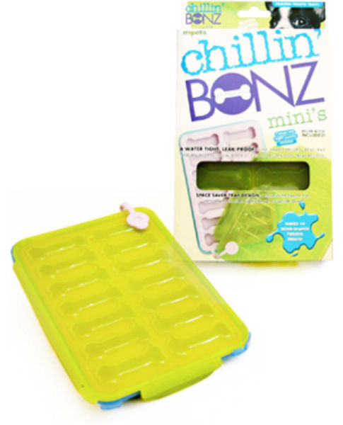 M2 Products CBS/6  Chillin' Bonz Mini's Leak Proof Tray w/Recipes, Small