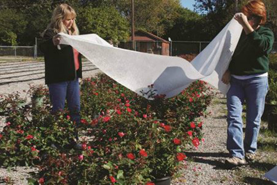 DeWitt® SUPREME650 Supreme Crop Protection & Winterization Fabric 6'x50', 1.5 Oz