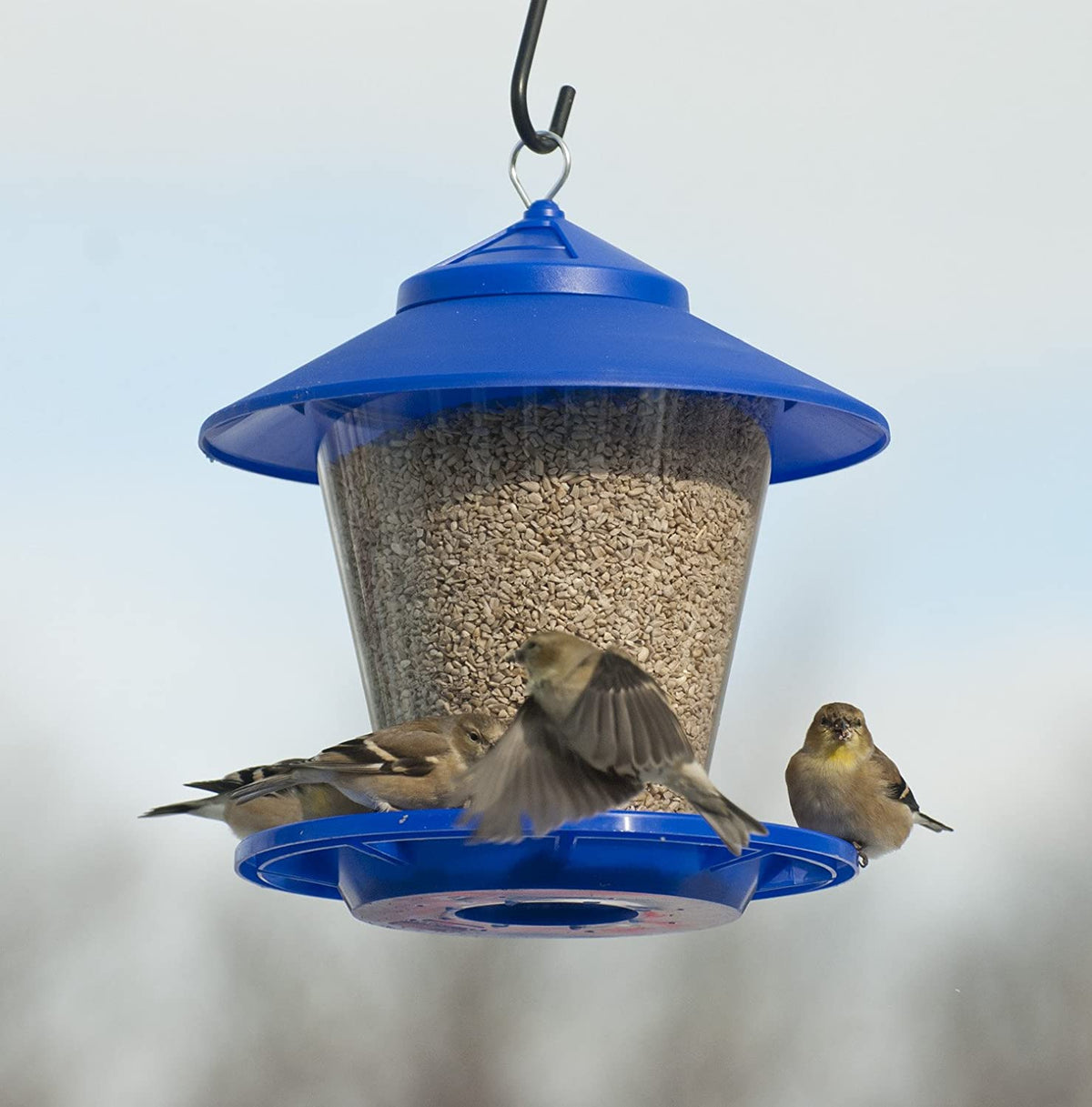 Audubon NA6231 Hopper Granary Bird Feeder, 4 Lbs, Assorted Colors