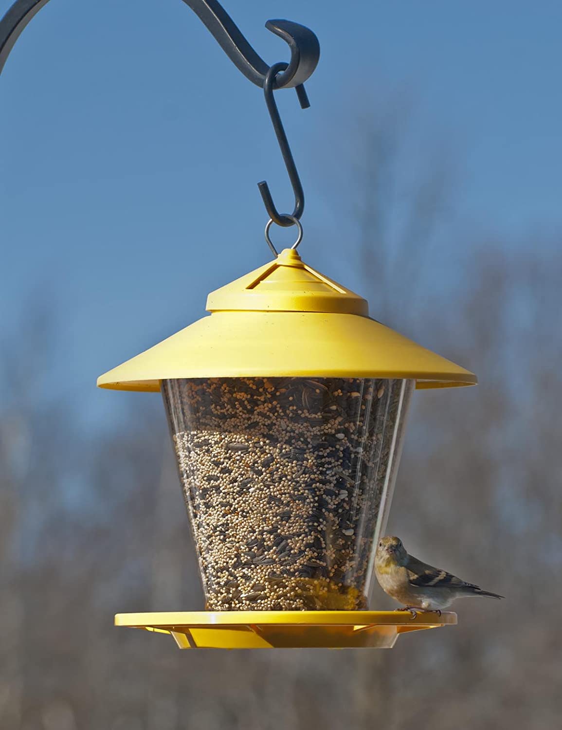 Audubon NA6231 Hopper Granary Bird Feeder, 4 Lbs, Assorted Colors