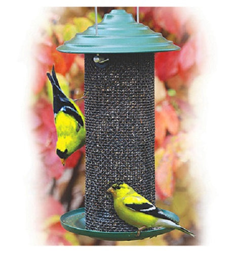 Audubon™ NAMINIMAG2 Mini Nyjer Thistle Magnum Bird Feeder, Steel