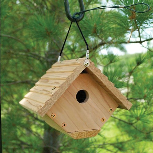 Audubon™ NAWREN Traditional Wren Bird House, 7.5"