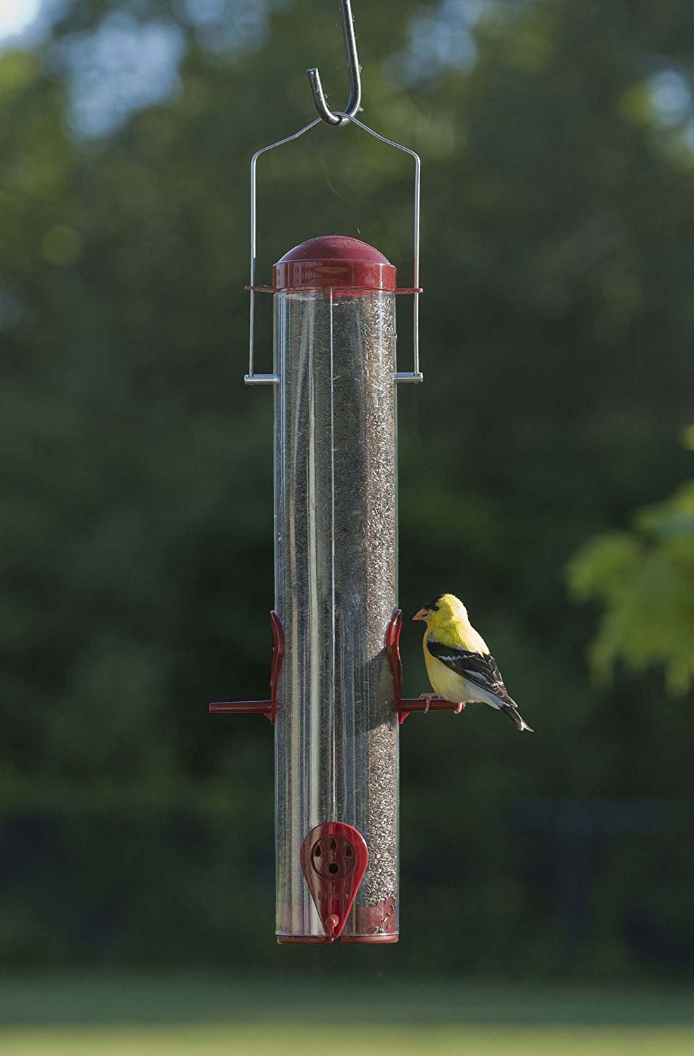 Audubon™ NA11502S Dual-Port Wild Bird & Finch Tube Feeder, Multi-Colored, 13"