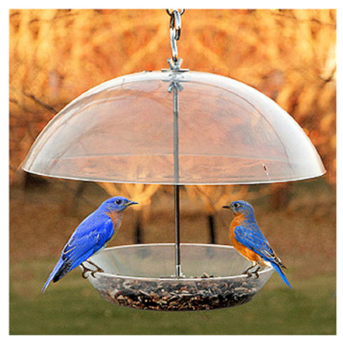 Audubon™ NABBFDR Dome Top Seed & Bluebird Bird Feeder, 11.75"