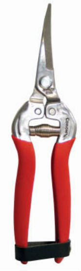 Corona® AG-4940SS Long Curved Snip, Stainless Steel
