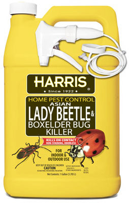 Harris® HBXA-128 Asian Lady Beetle & Box Elder Bug Killer, 128 Oz