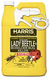 Harris® HBXA-128 Asian Lady Beetle & Box Elder Bug Killer, 128 Oz