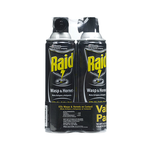 Raid® 74918 Wasp & Hornet Killer, 14 Oz