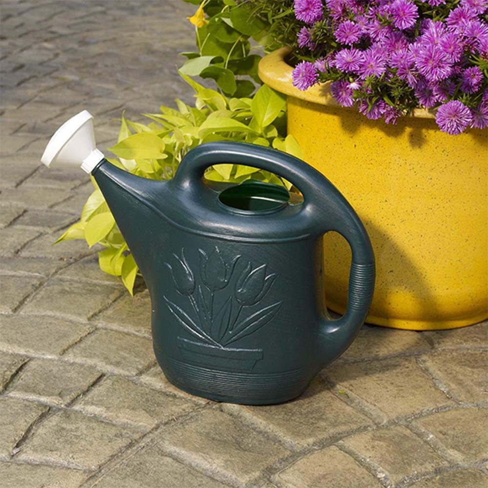 Novelty 30301 Classic Watering Can, Green, 2-Gallon