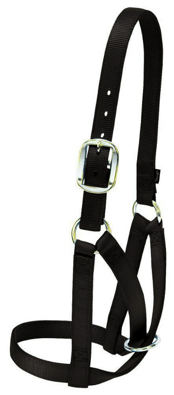 Weaver 35-8003-BK Nylon Barn Cow Halter, Small, Black