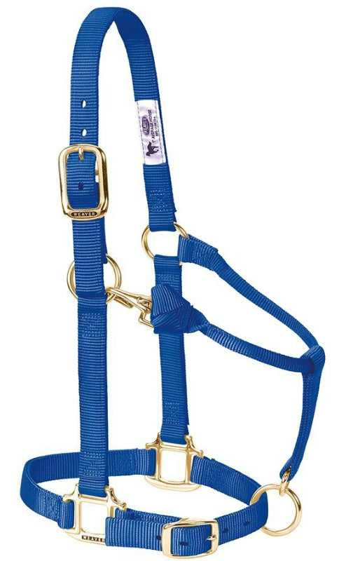 Weaver 35-7034-BL Original Adjustable Chin & Throat Snap Halter,Small Horse,Blue
