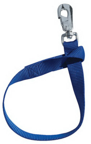 Weaver 35-7065-BL Nylon Bucket Strap, Blue, 1" x 22"