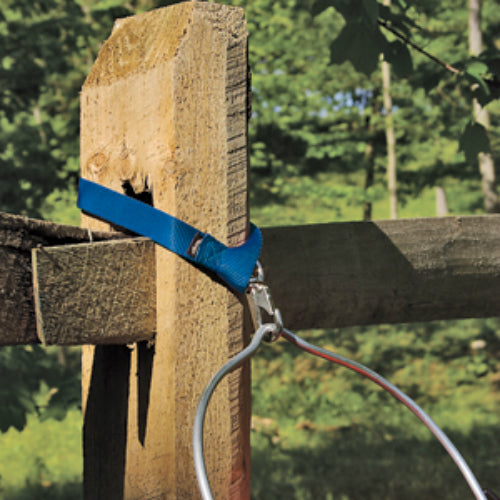 Weaver 35-7065-BL Nylon Bucket Strap, Blue, 1" x 22"