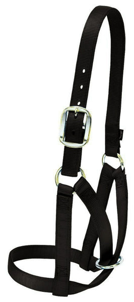 Weaver 35-8004-BK Nylon Barn Cow Halter, Medium, Black