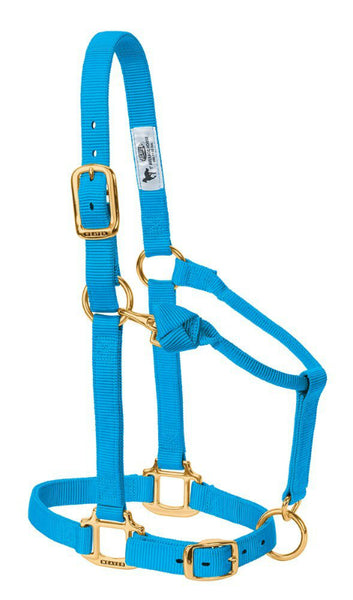 Weaver 35-7035-HB Adjustable Chin & Throat Snap Halter, Average Horse, Blue