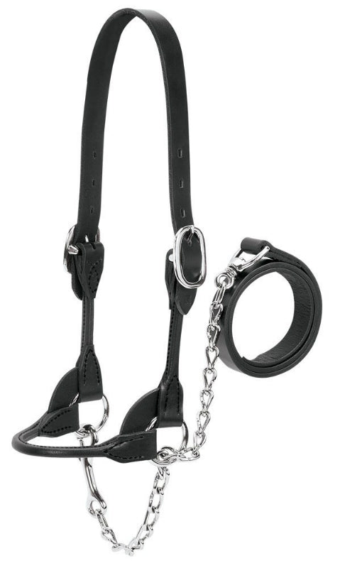 Weaver 90-0501 Dairy/Beef Rounded Show Halter, Black, Small
