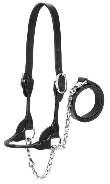 Weaver 90-0520 Dairy/Beef Rounded Show Halter, Black, Large